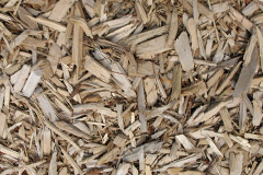 biomass boilers Otterburn